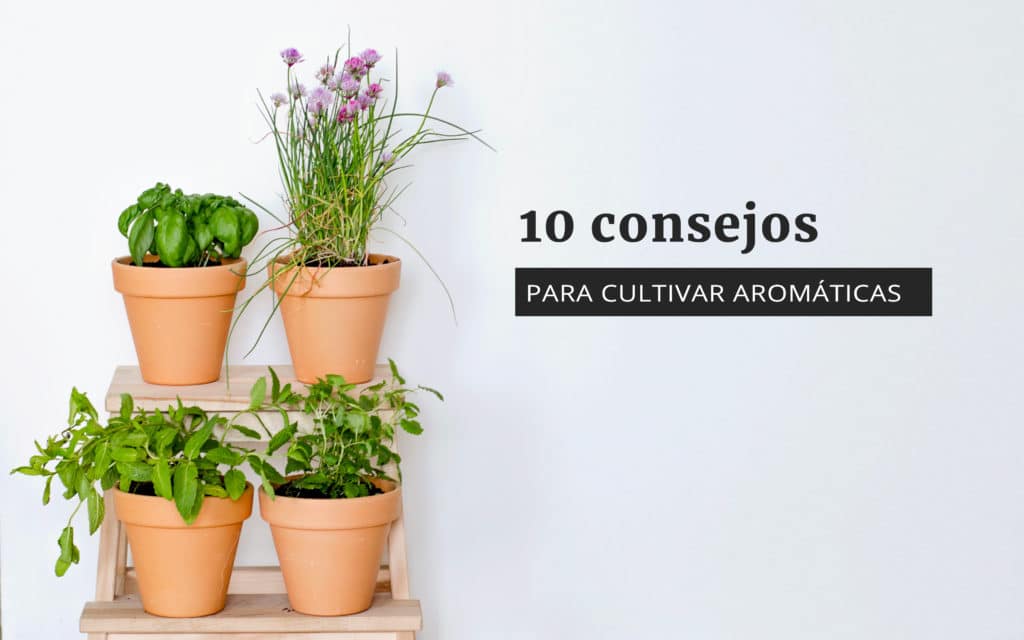 58 Best Images Cosas Para Cocinar En Casa - 10 Cosas para hacer en cuarentena y no aburrirte en casa ...