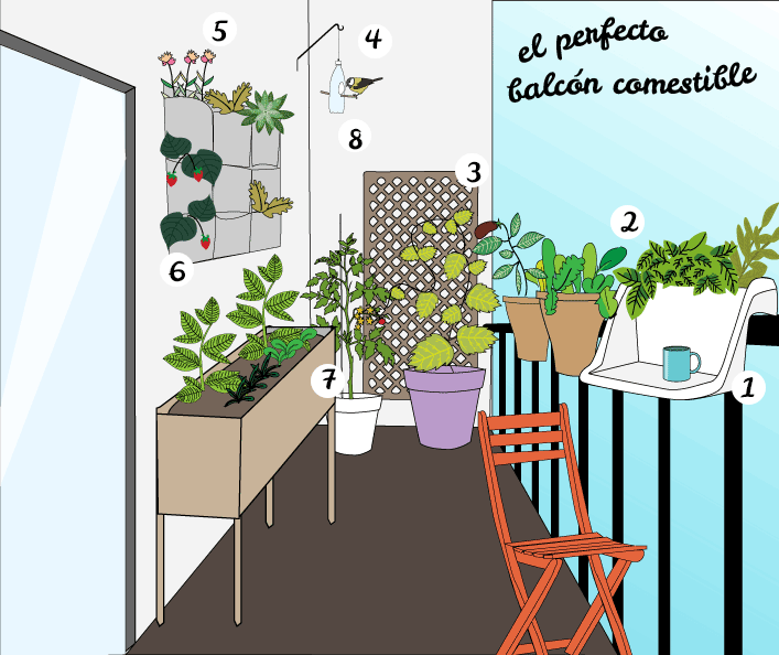 Cómo hacer un huerto urbano en tu terraza o jardín